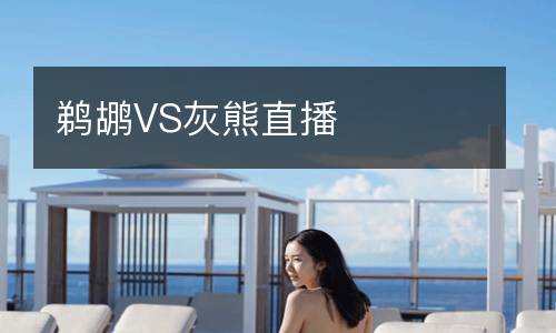 鵜鶘VS灰熊直播